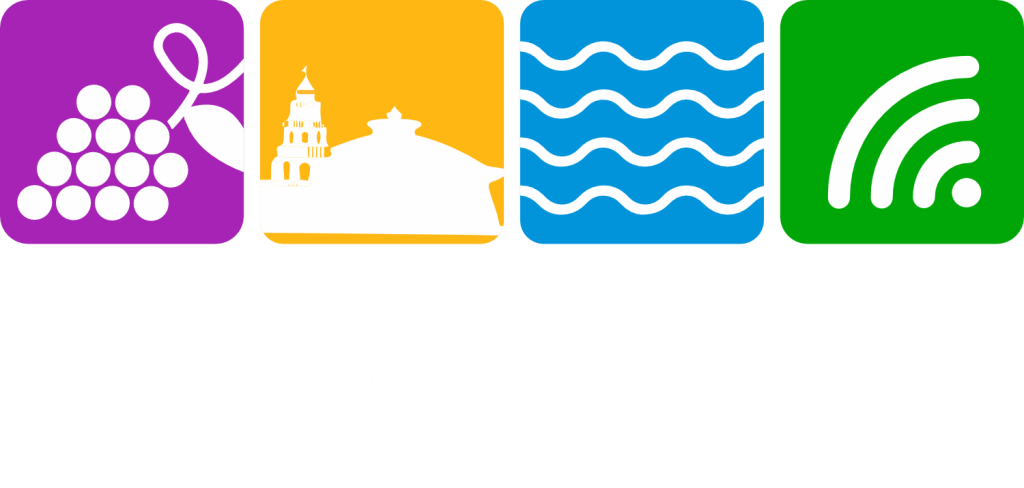 nashikcity-logo-footer