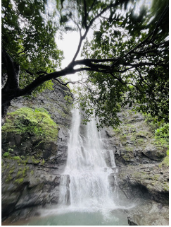 17 Waterfalls in Nashik -  Umbhrande Waterfall