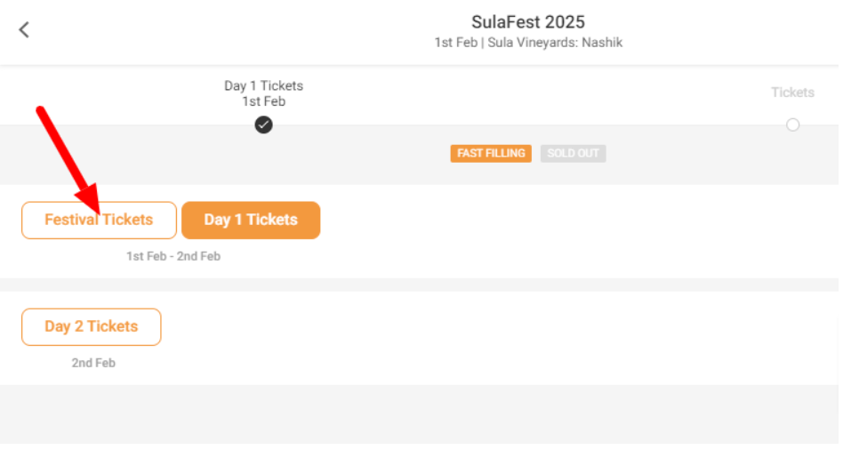 SulaFest 2025 - Best Sula Fest Experience