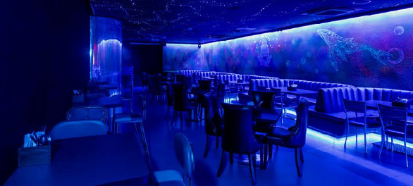Celestia Lounge Celestia Lounge