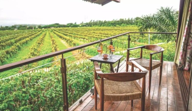 Stunning Vineyard Views Stunning Vineyard Views