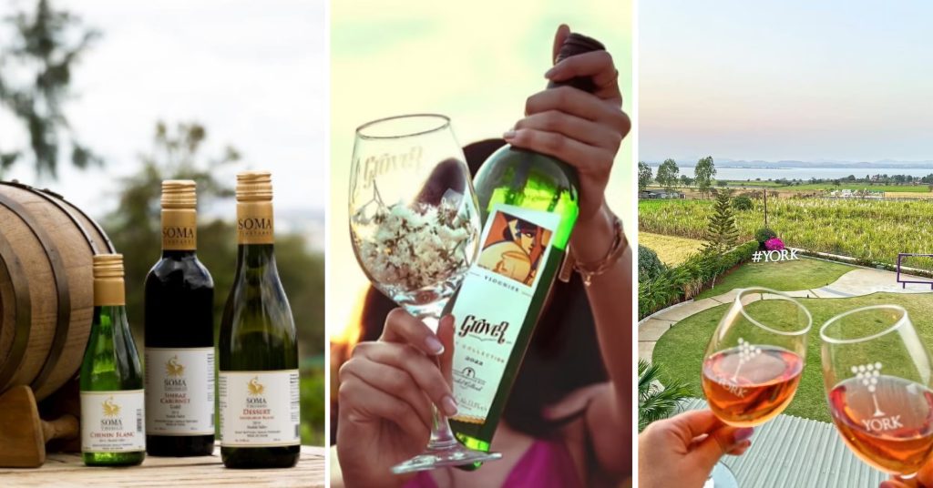 Wine Tasting In Nashik
