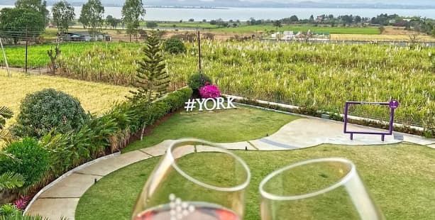 York Winery York Winery