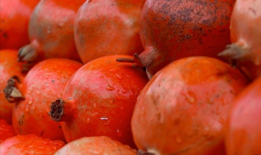 Pomegranate Pomegranate
