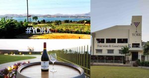 York Winery Nashik